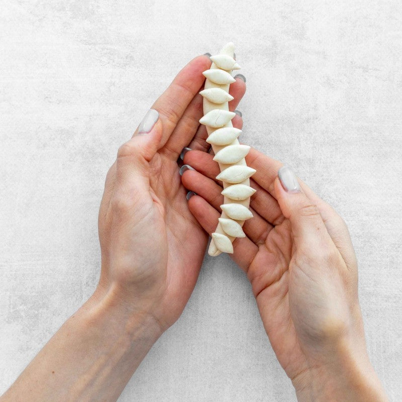 When Should Calcium Supplementation Begin? A Science-Based Guide to Lifelong Bone Health